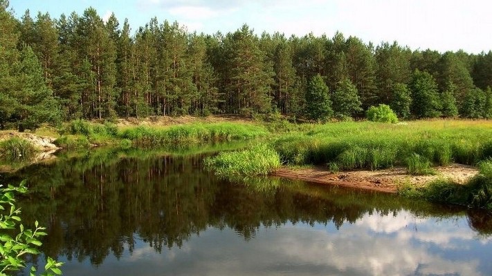 Офіс Генпрокурора відстояв понад 4 тис. га земель Карпатського національного природного парку